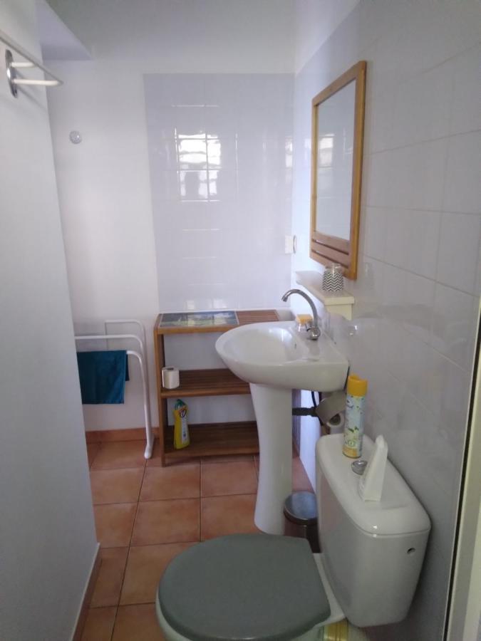 Studio Aux Avirons Pour 2 Personnes, Avec Piscine Les Avirons Exterior foto